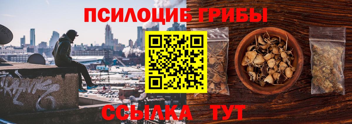 Евпатория  Галлюциногенные грибы MAGIC MUSHROOMS  Галлюциногенные грибы GOLDEN TEACHER  Вход с VPN 